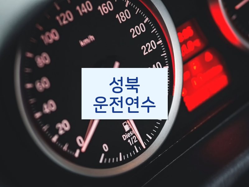 성북운전연수 후기