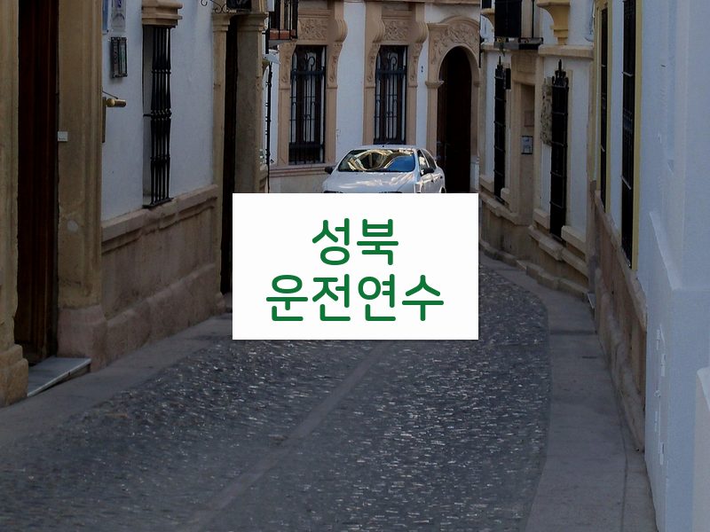 성북운전연수 후기