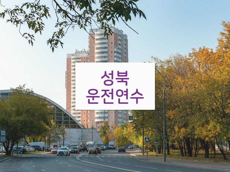 성북운전연수 후기