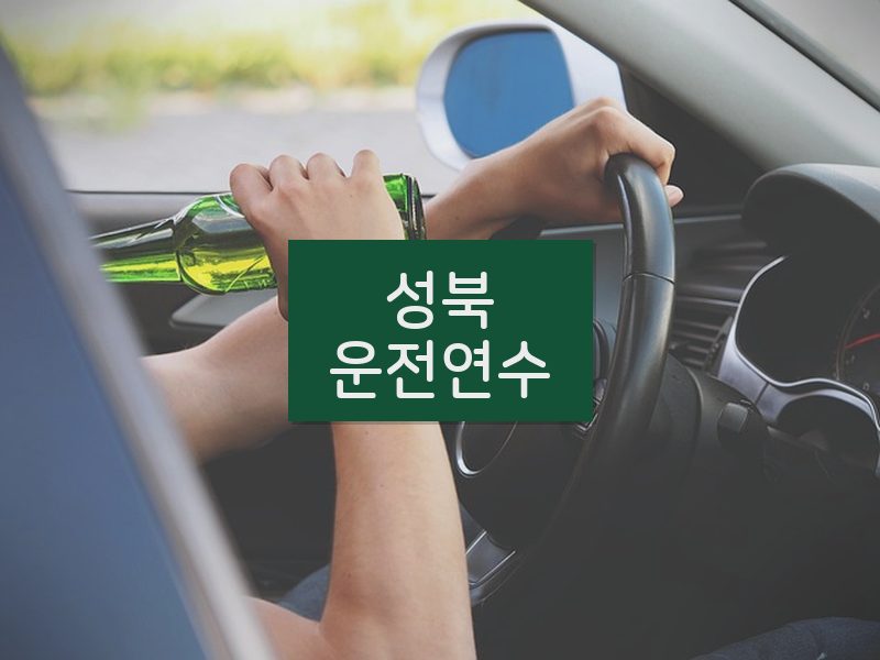 성북운전연수 후기