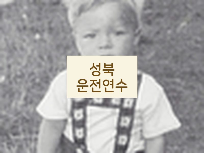 성북운전연수 후기