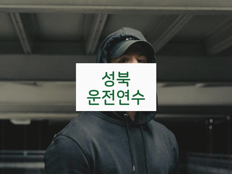 성북운전연수 후기