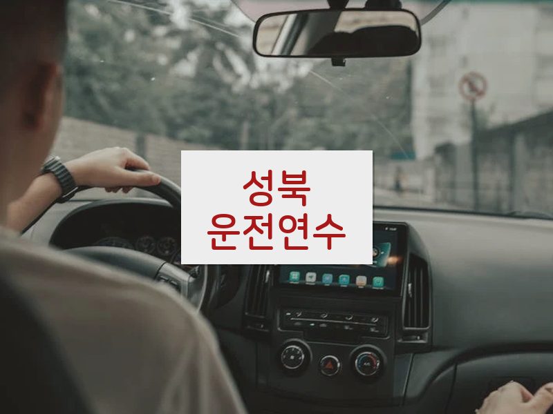 성북운전연수 후기