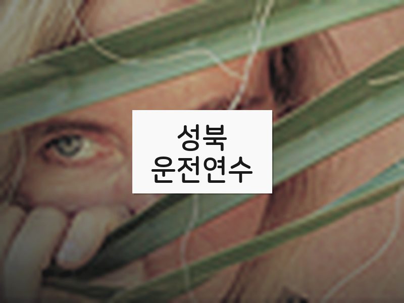 성북운전연수 후기