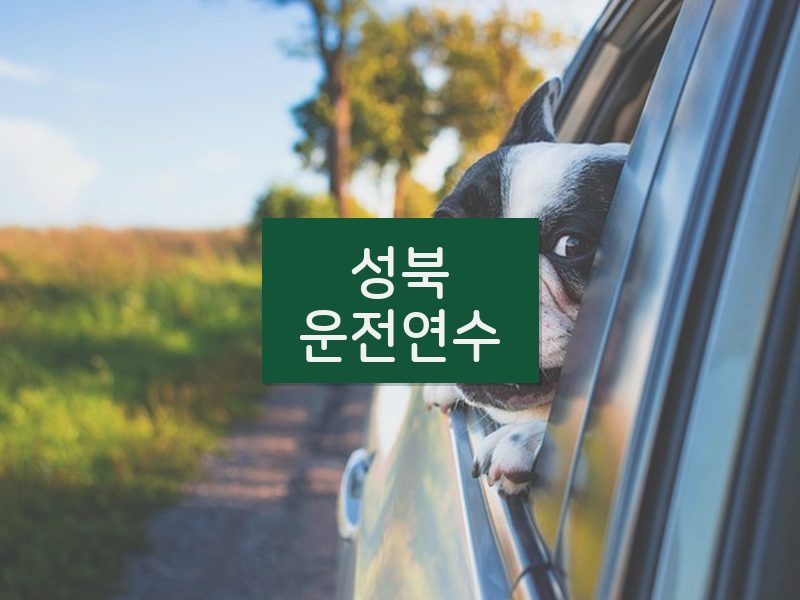 성북운전연수 후기
