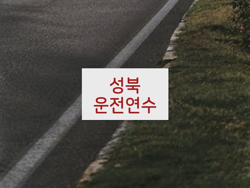 성북운전연수 후기