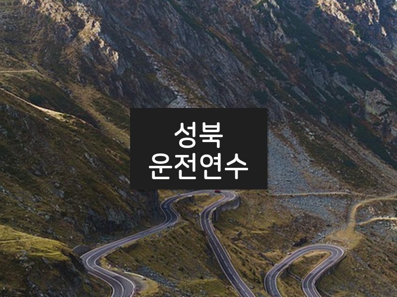 성북운전연수 후기