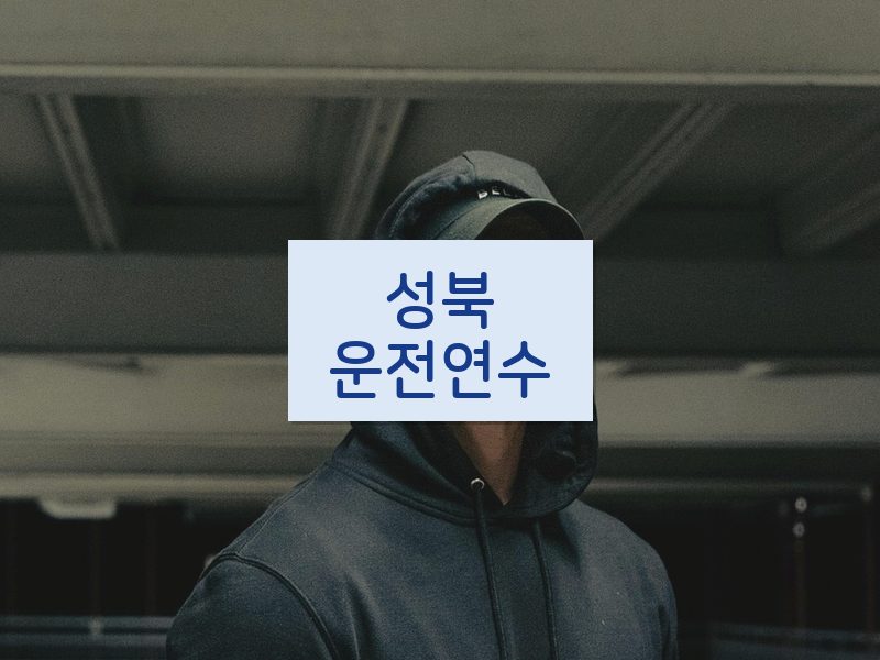 성북운전연수 후기