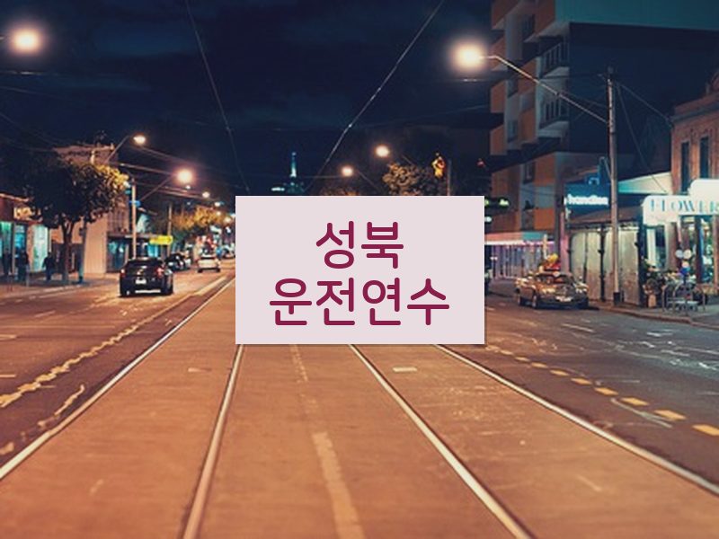 성북운전연수 후기