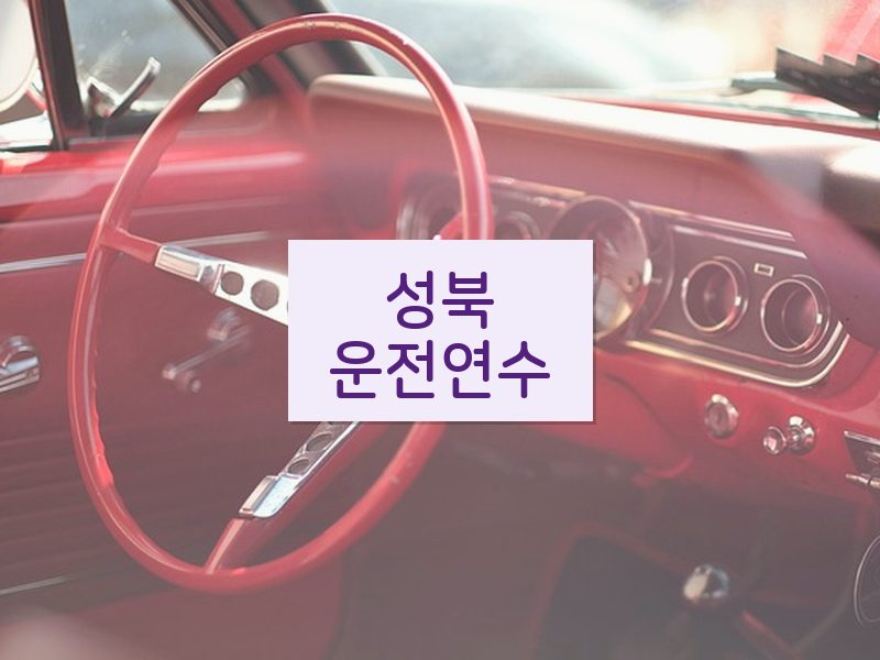 성북운전연수 후기
