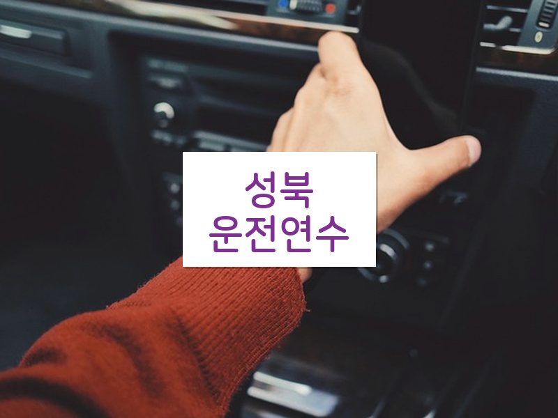 성북운전연수 후기