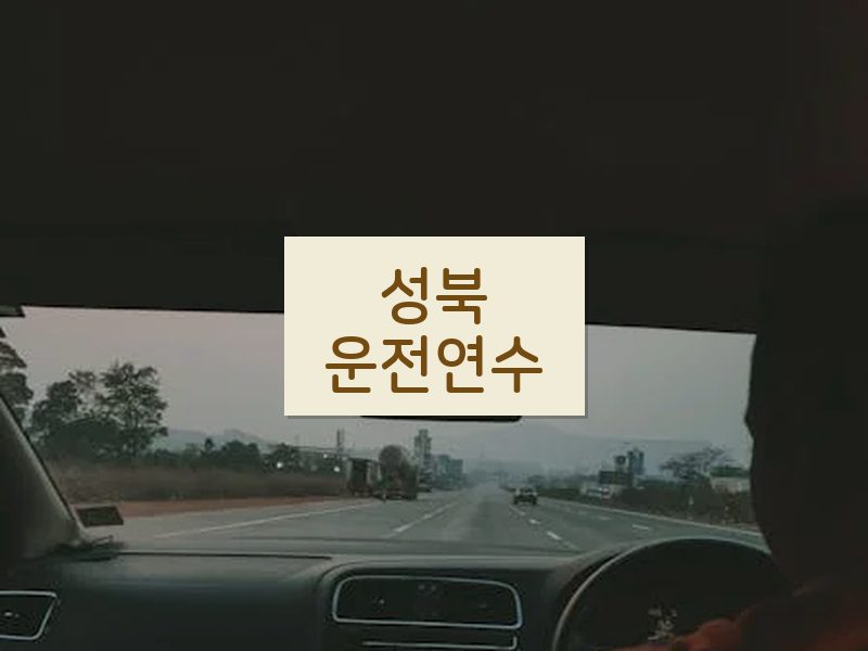 성북운전연수 후기
