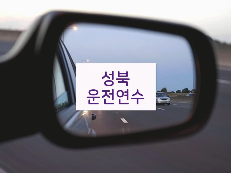 성북운전연수 후기