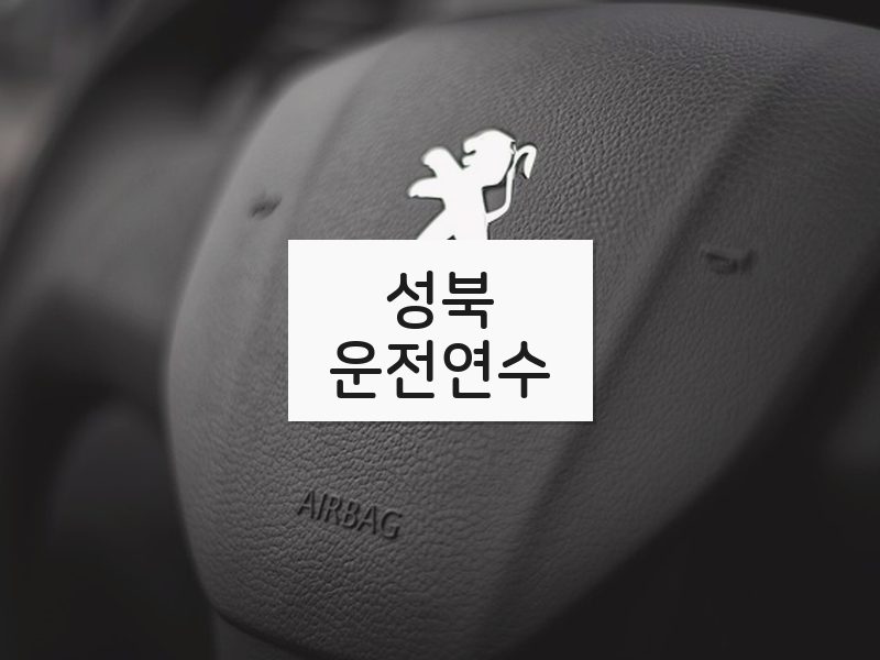 성북운전연수 후기