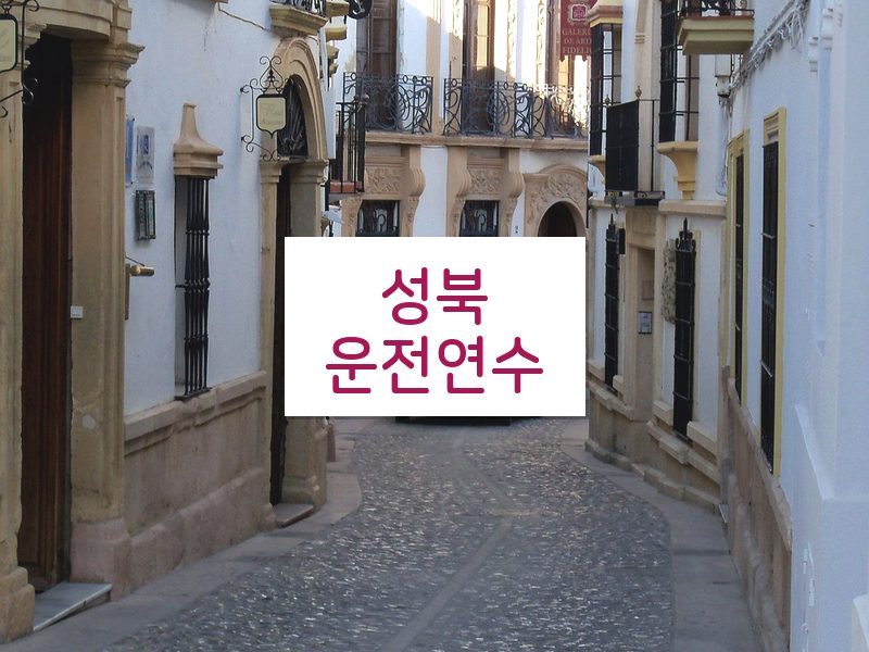 성북운전연수 후기