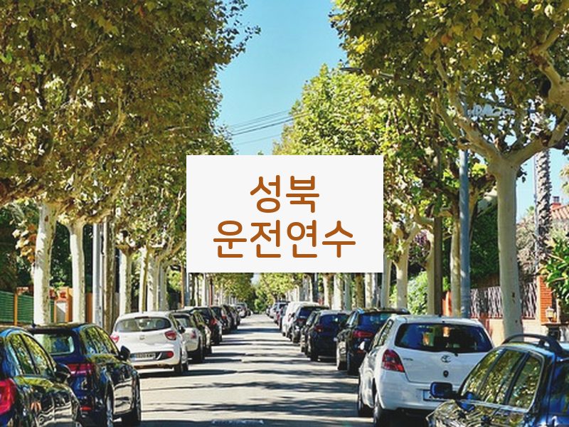 성북운전연수 후기
