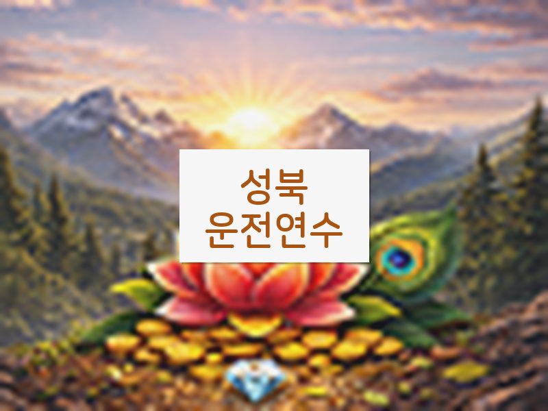 성북운전연수 후기