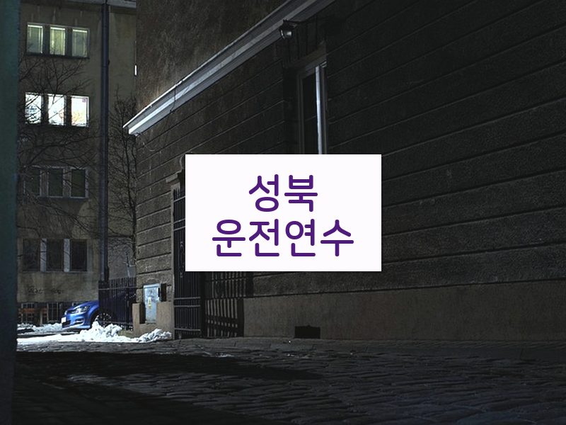 성북운전연수 후기