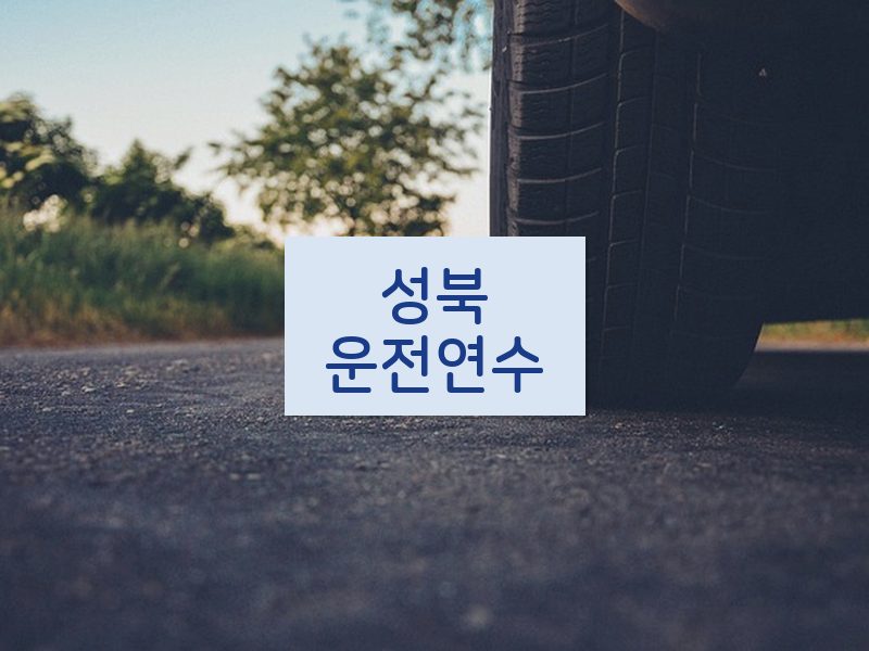 성북운전연수 후기