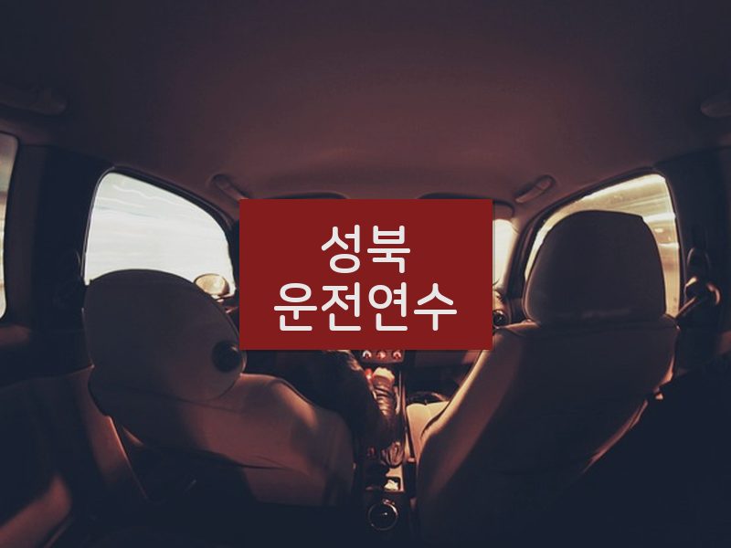 성북운전연수 후기