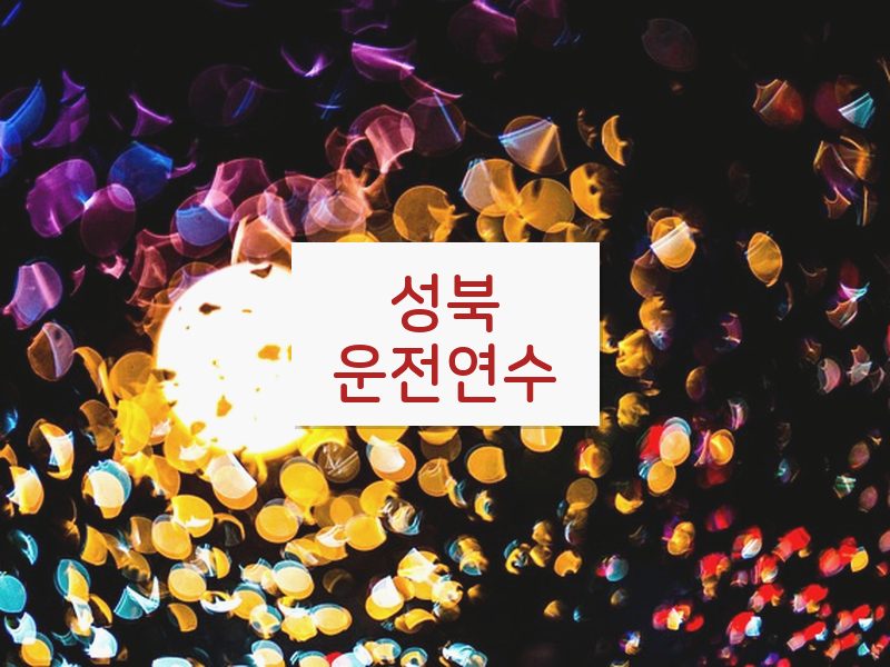 성북운전연수 후기
