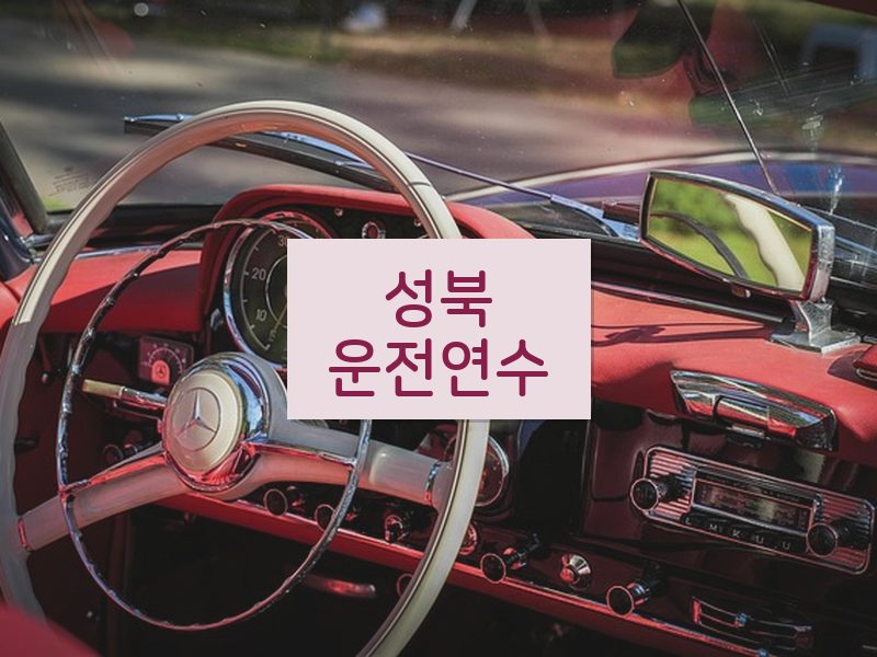 성북운전연수 후기