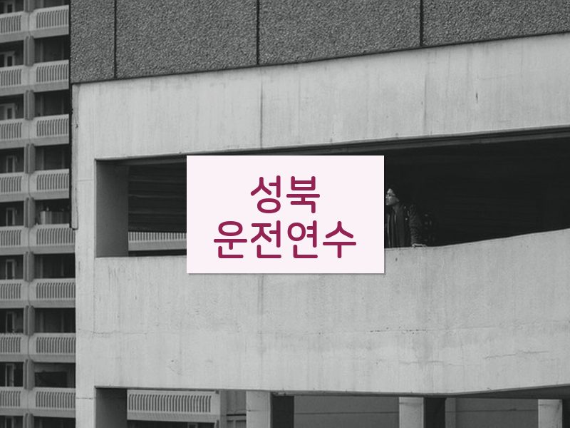 성북운전연수 후기