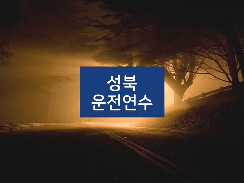 성북운전연수 후기