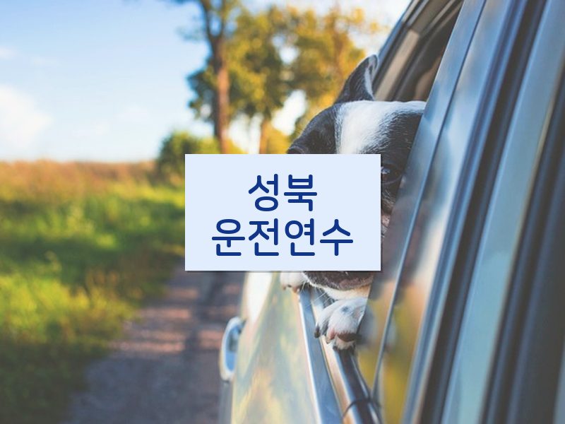 성북운전연수 후기