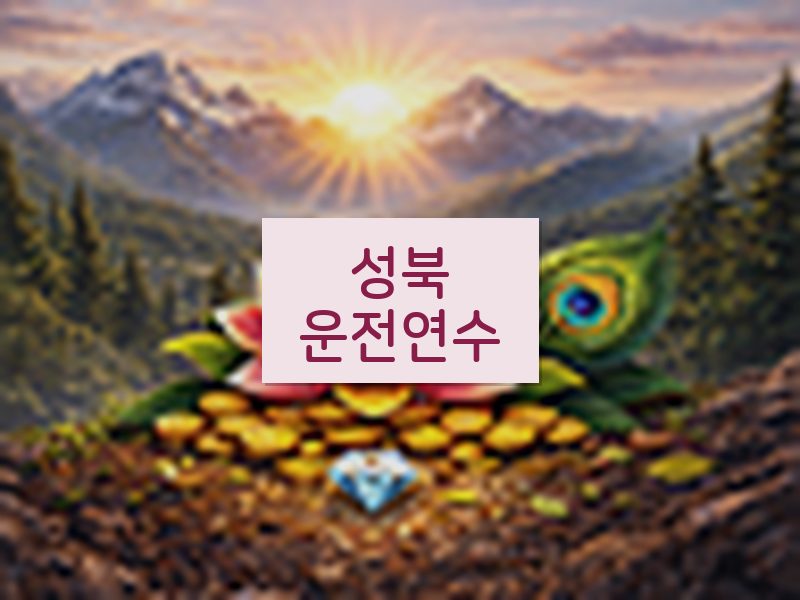 성북운전연수 후기