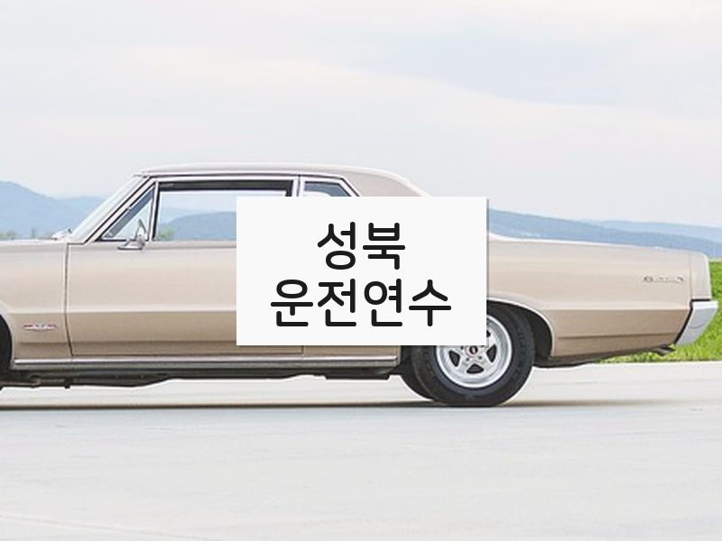 성북운전연수 후기