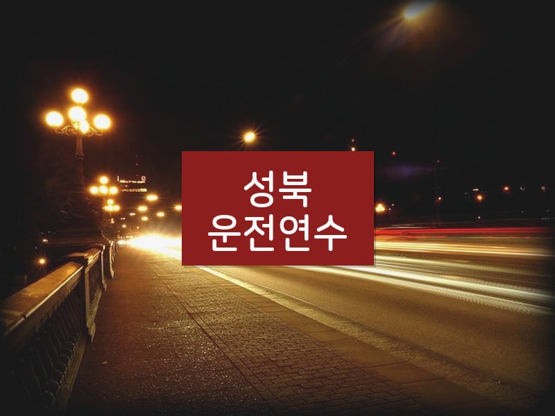 성북운전연수 후기