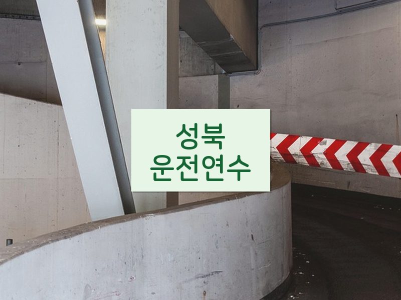 성북운전연수 후기