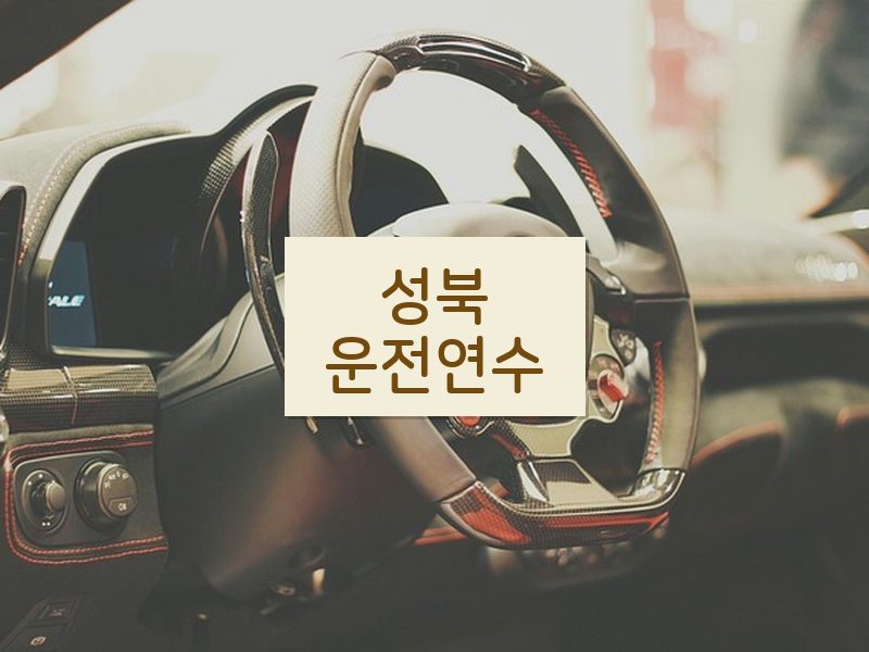 성북운전연수 후기