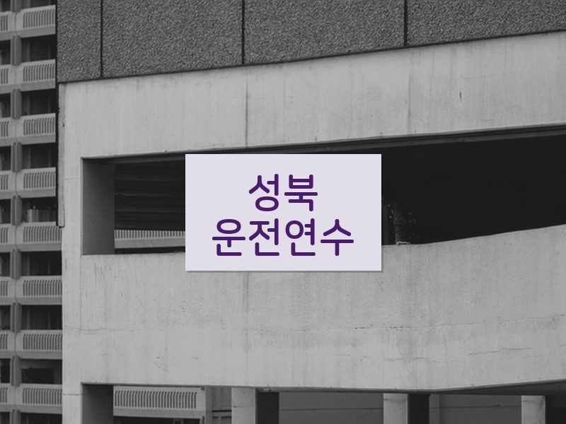 성북운전연수 후기