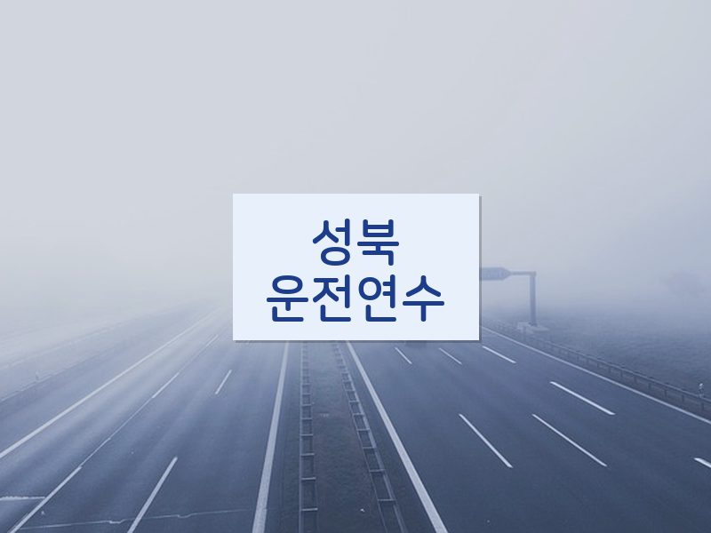 성북운전연수 후기