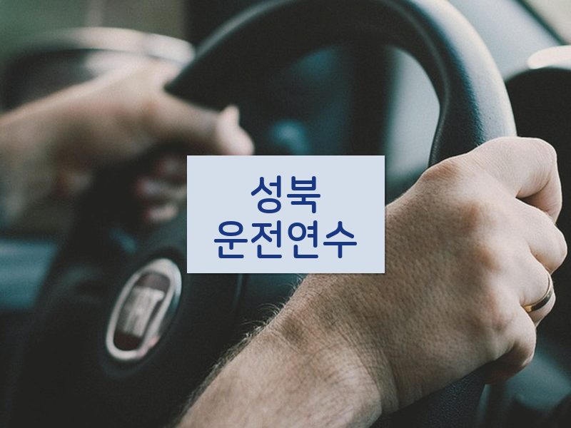 성북운전연수 후기