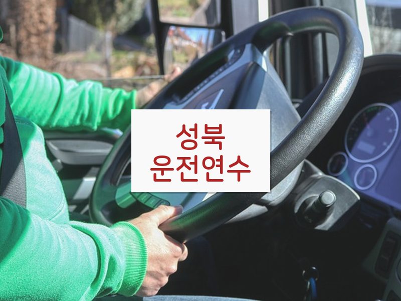 성북운전연수 후기