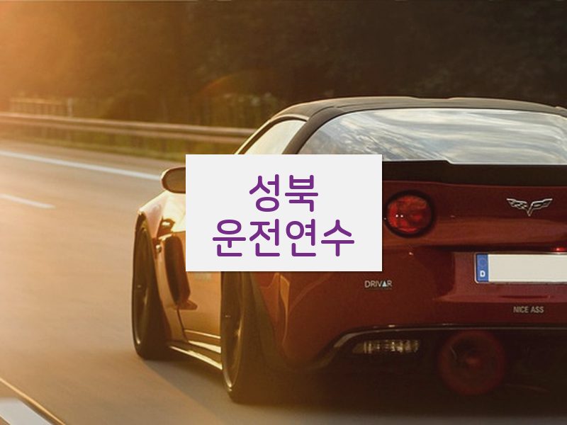 성북운전연수 후기