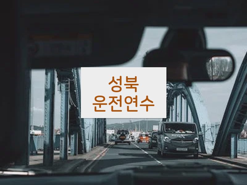 성북운전연수 후기