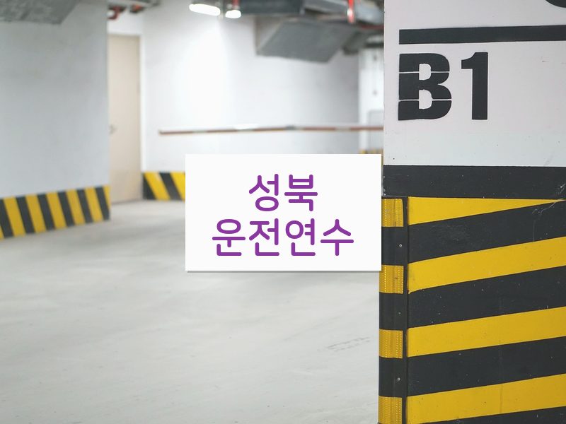 성북운전연수 후기