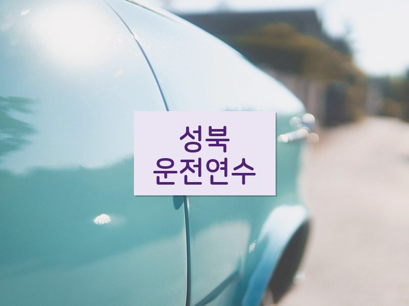 성북운전연수 후기