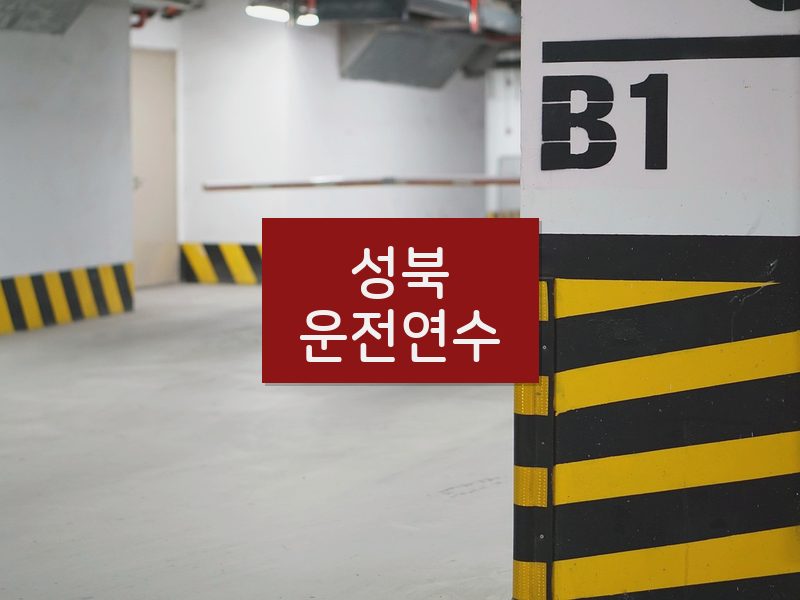 성북운전연수 후기