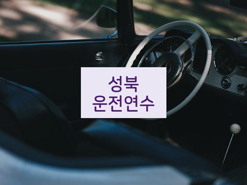 성북운전연수 후기