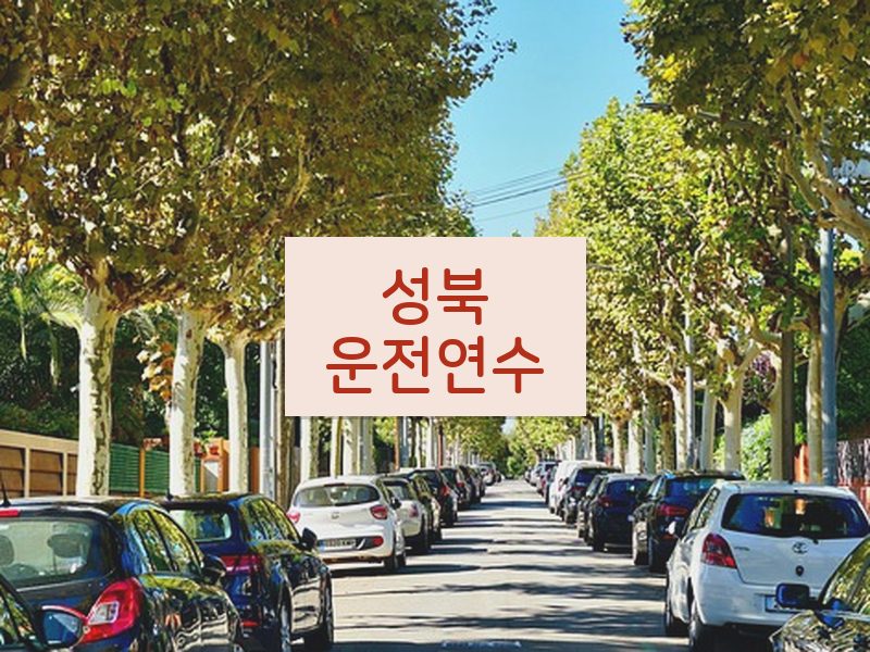 성북운전연수 후기