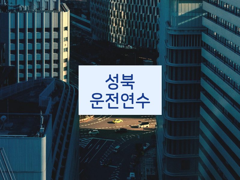 성북운전연수 후기