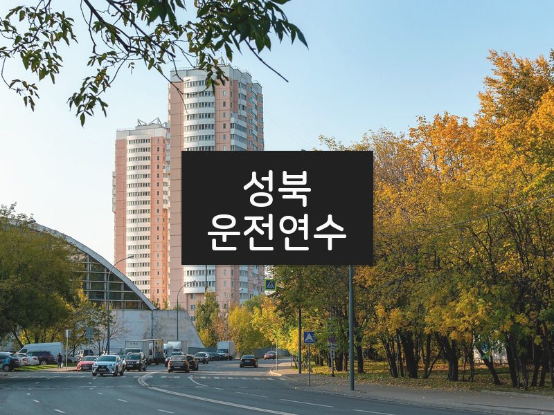 성북운전연수 후기