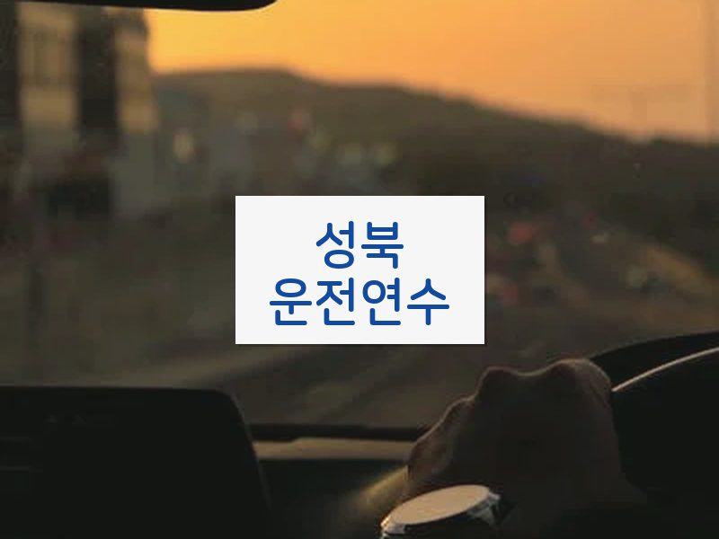 성북운전연수 후기