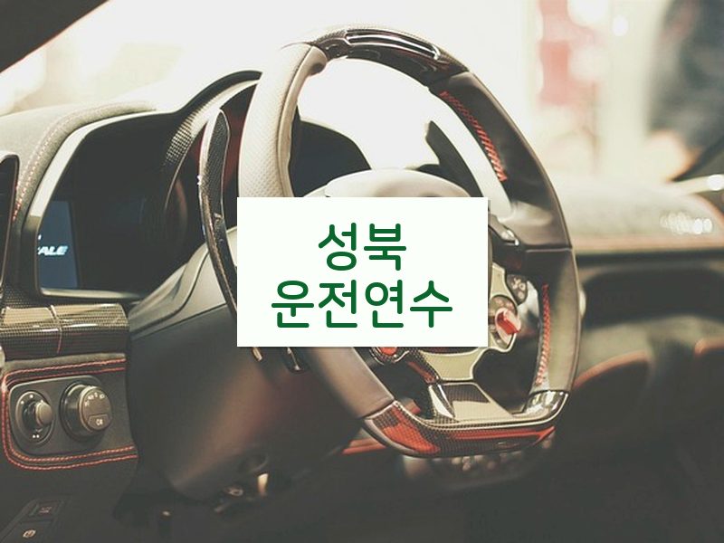 성북운전연수 후기