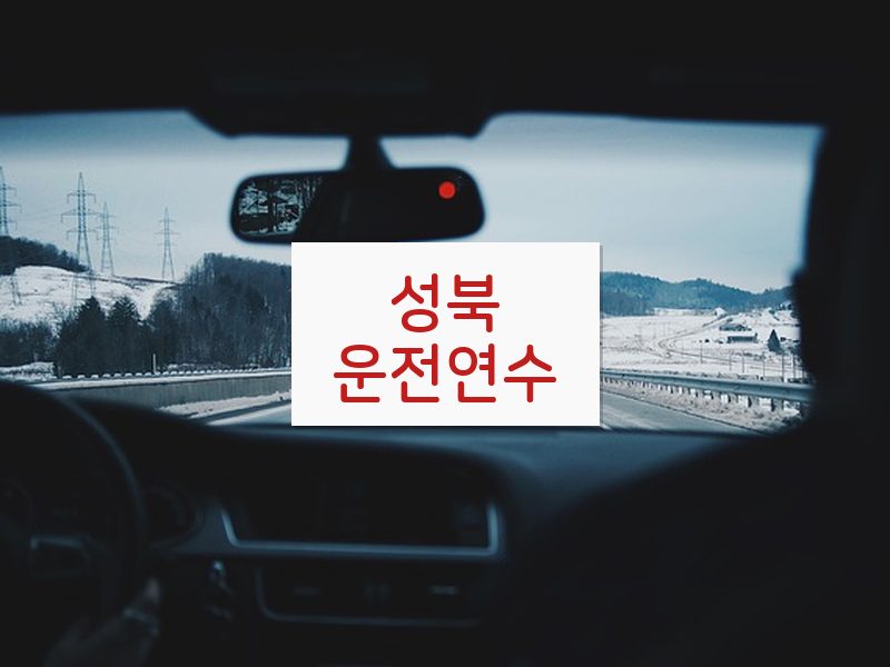 성북운전연수 후기